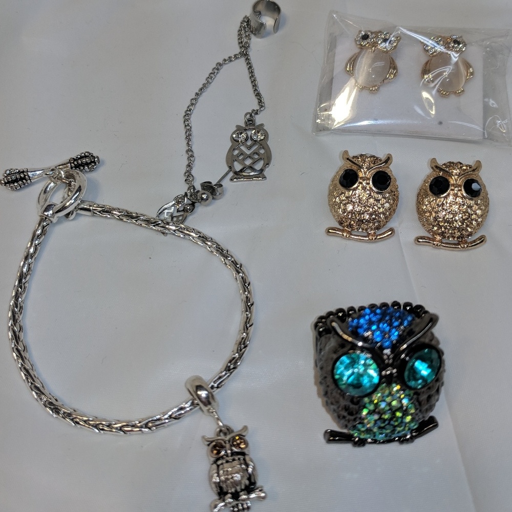 Owl accessories